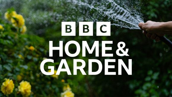 Watch BBC Home tv live
